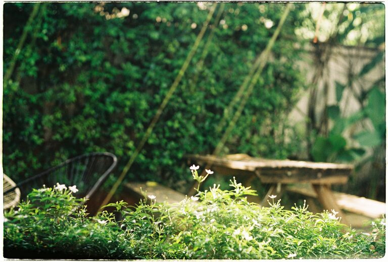 How to Create a Relaxing Home Garden Space: Practical Tips